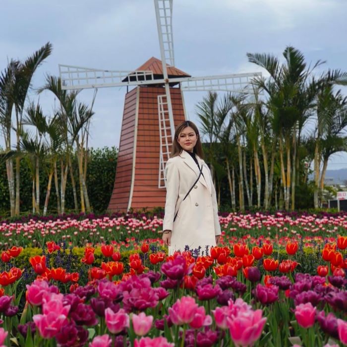 Cảnh đẹp Đài Loan ở cánh đồng hoa tuyệt đẹp