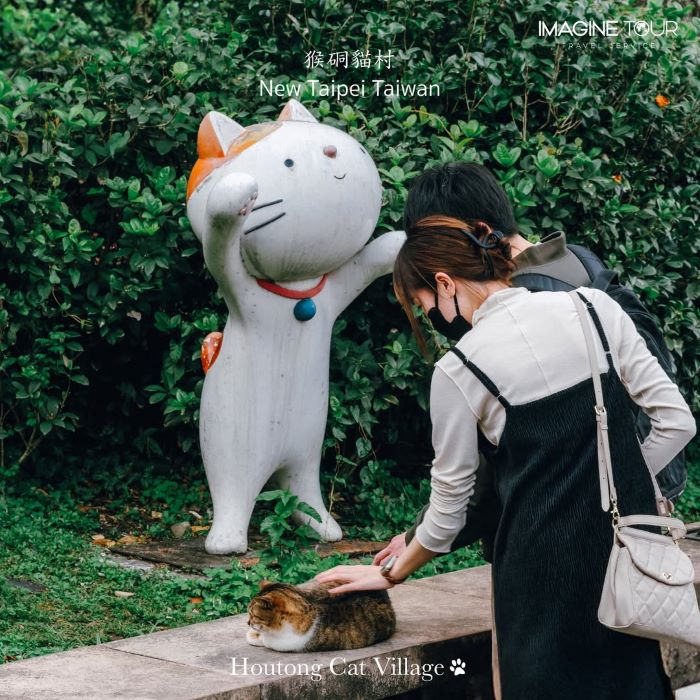 Có nhiều chú mèo nằm ở các con đường nhỏ trong làng