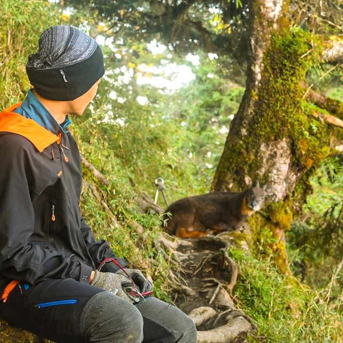 Bắt gặp những loài động vật quý khi trekking leo núi